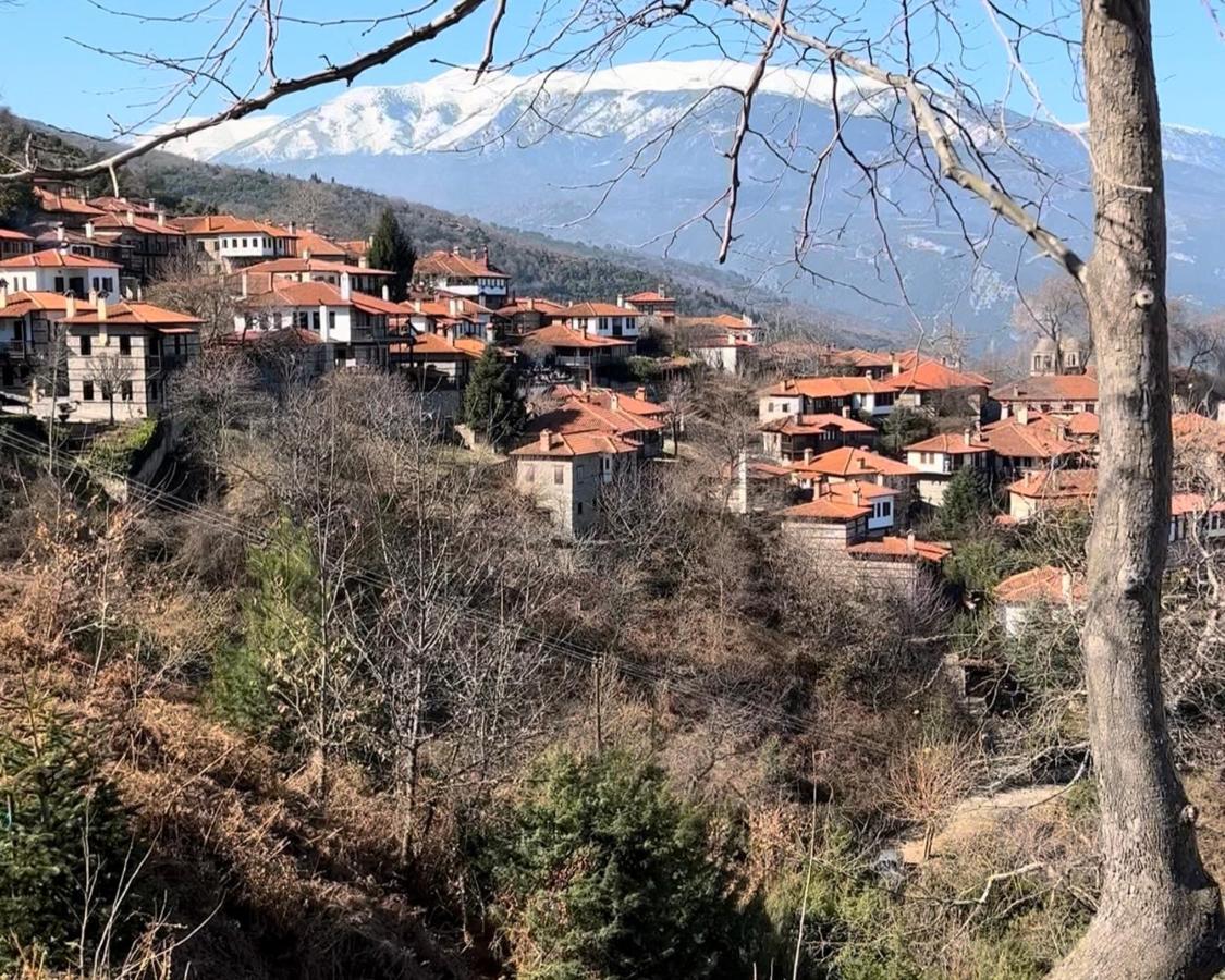 Tzeni Palios