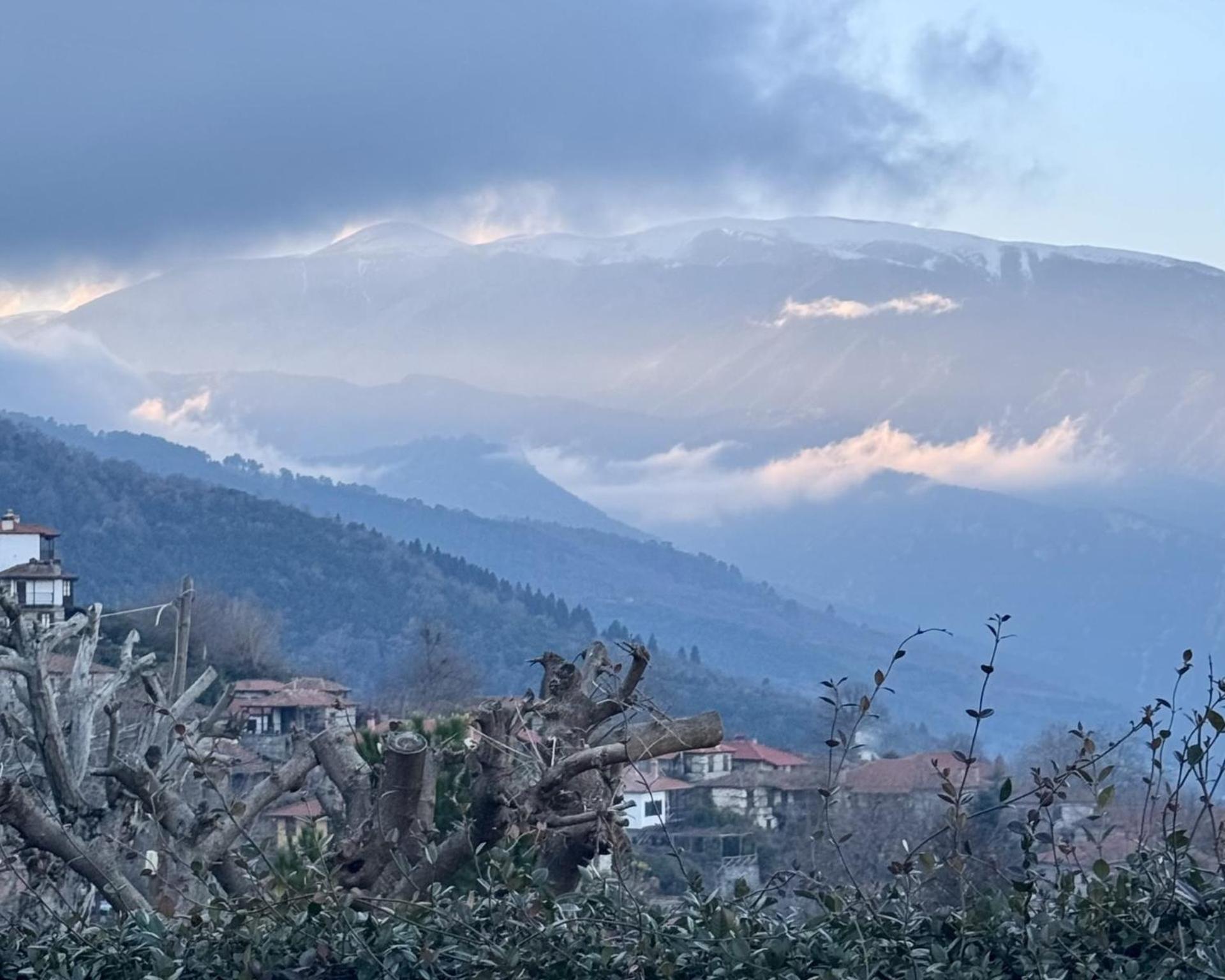 Tzeni Palios